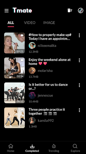 TT için Video İndirici ekran görüntüsü