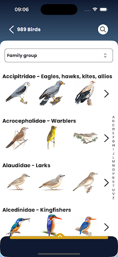 Roberts Birds ekran görüntüsü