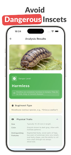 LadyBug Insect: Bug Identifier ekran görüntüsü