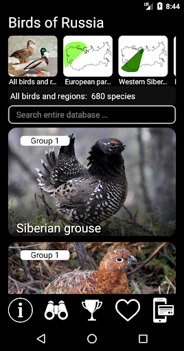 Birds of Russia Field Guide ekran görüntüsü