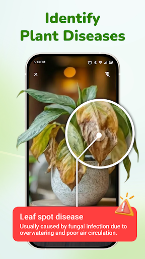 Verda: Plant Identify & Cure ekran görüntüsü