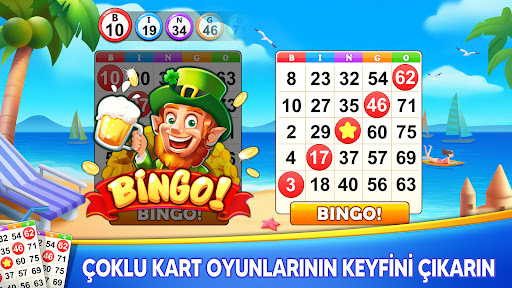 Bingo Holiday: Çevrimdışı Oyun ekran görüntüsü