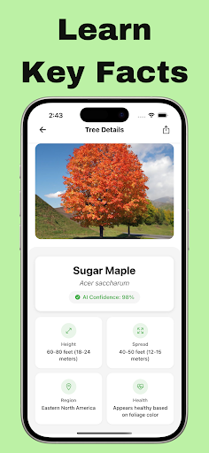 Tree Identifier : Treezy ekran görüntüsü