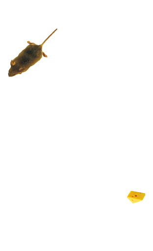 Mouse simulator: game for cat ekran görüntüsü
