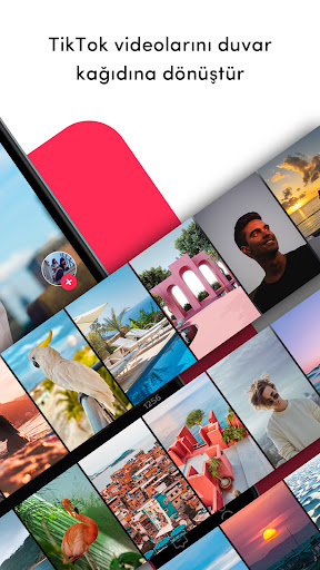 TickTock-TikTok Live Wallpaper ekran görüntüsü