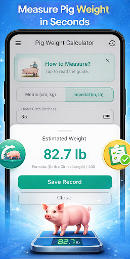 Pig Weight Calculator Tool ekran görüntüsü