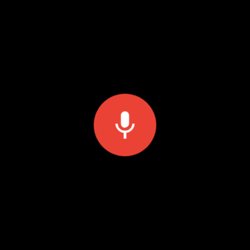 Audio Recorder Watch Pro