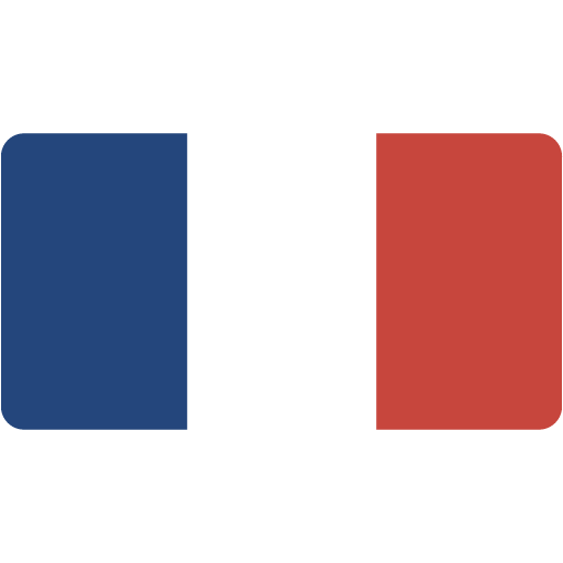 Verb Conjugation in French