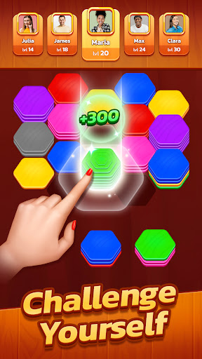 Hexa Stack: Color Sort Puzzle ekran görüntüsü