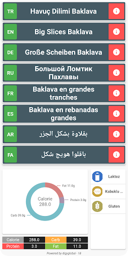 DigyFoody Client ekran görüntüsü