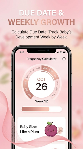 Pregnancy Calculator ekran görüntüsü