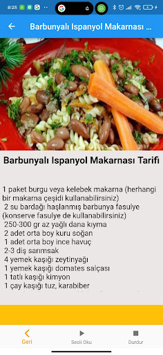 İnternetsiz Yemek Tarifleri SE ekran görüntüsü