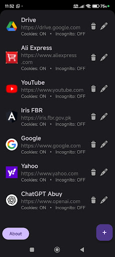Web 2 App ekran görüntüsü