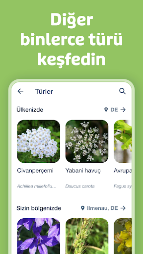 Flora Incognita ekran görüntüsü