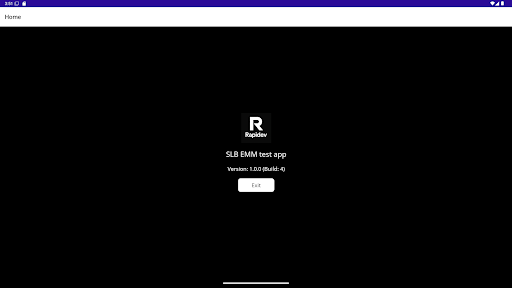 Rapidev ekran görüntüsü