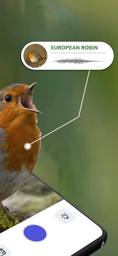 Bird Sound Identifier Bird ID ekran görüntüsü