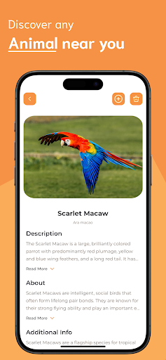Animal Identifier ekran görüntüsü