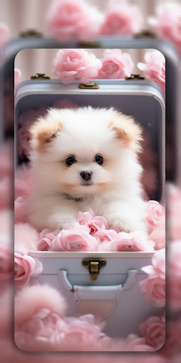 Dog Wallpaper & Cute Puppy 4K ekran görüntüsü