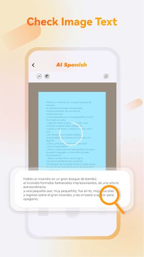AI Spanish Grammar Checker ekran görüntüsü