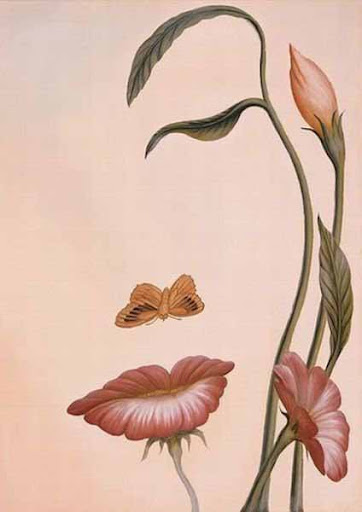 Magic Illusion ekran görüntüsü
