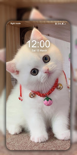 Cute Cat Wallpaper Live HD 4K ekran görüntüsü