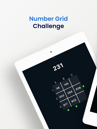 Number Grid Challenge ekran görüntüsü