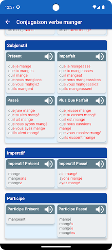 Conjugaison Verbes Français ekran görüntüsü