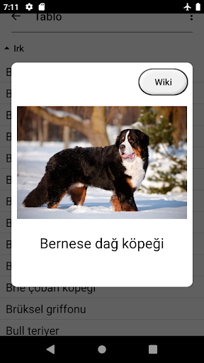 Köpekler Tüm ırkları tahmin et ekran görüntüsü