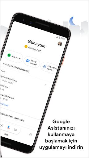 Google Asistan ekran görüntüsü