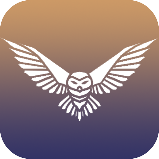 CEO Platformu