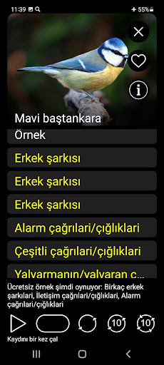 Kuşlar için ses tuzakları ekran görüntüsü