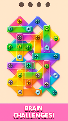 Screw Puzzle: Jam Nuts & bolts ekran görüntüsü