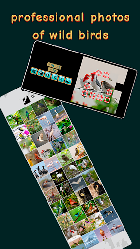 Sliding Puzzle - Locked Tiles ekran görüntüsü