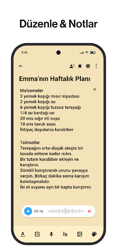 Notlar: Not defteri, notebook ekran görüntüsü