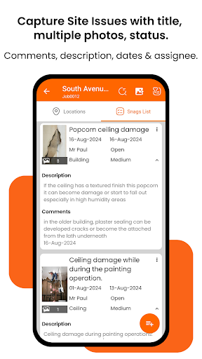 Site Report Expert: Punch List ekran görüntüsü