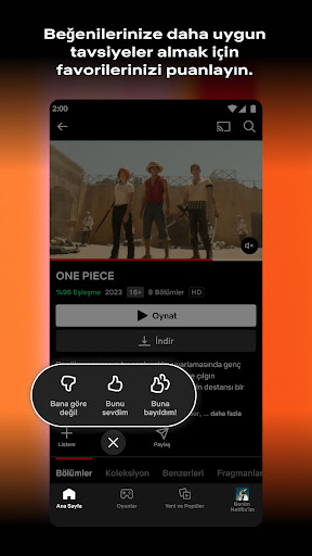 Netflix ekran görüntüsü
