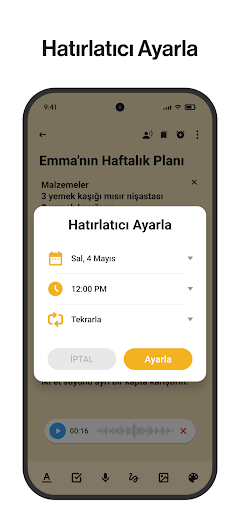 Notlar: Not defteri, notebook ekran görüntüsü