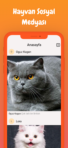 Patily ekran görüntüsü