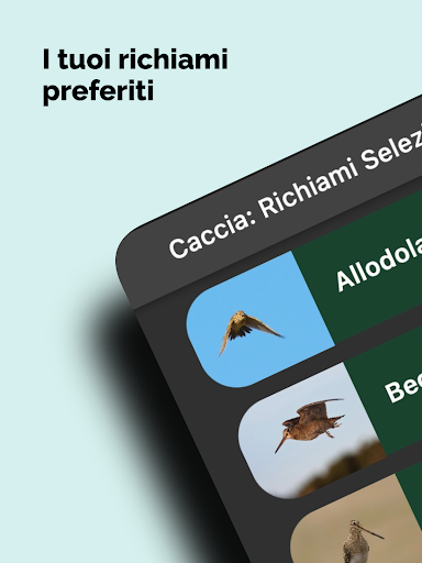 Caccia: Richiami Selezionati ekran görüntüsü