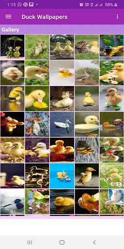 Duck Wallpapers Gallery ekran görüntüsü
