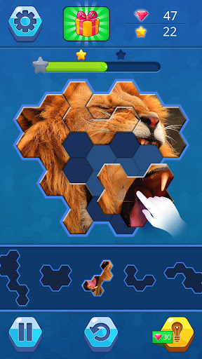 Jigsaw Hexa Puzzle ekran görüntüsü