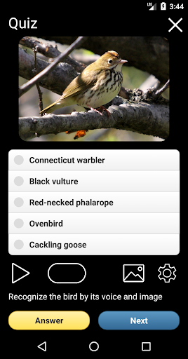 Birds of North America: Decoys ekran görüntüsü