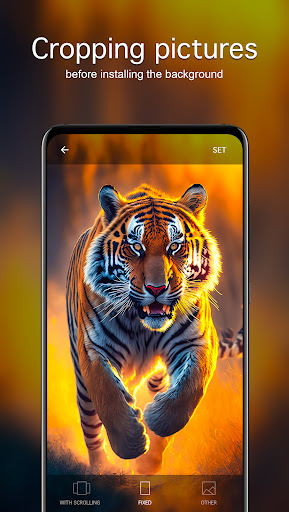 Tiger Wallpapers 4K ekran görüntüsü