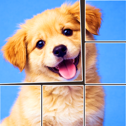 JigMaster: Photo Match