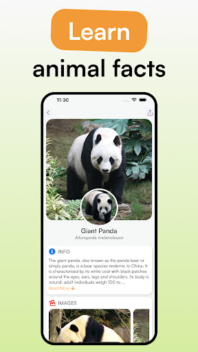 Animal Identifier - iSpecies ekran görüntüsü