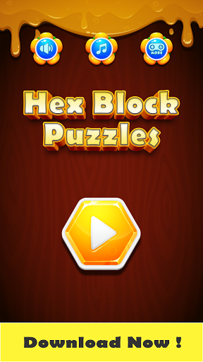 Hex Block Puzzles ekran görüntüsü