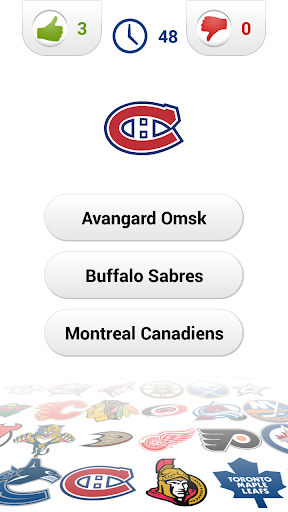 Hockey Logo Quiz ekran görüntüsü