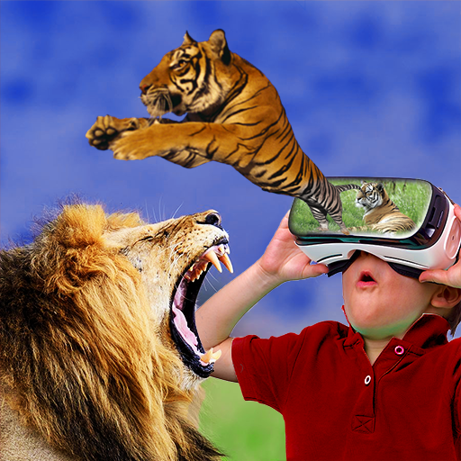 VR Videoları