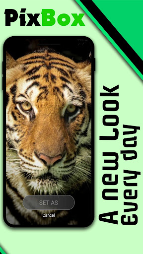 PixBox The Wallpaper App ekran görüntüsü