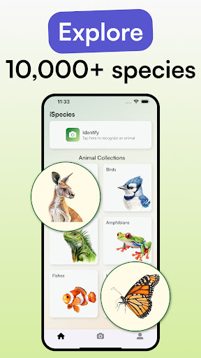 Animal Identifier - iSpecies ekran görüntüsü